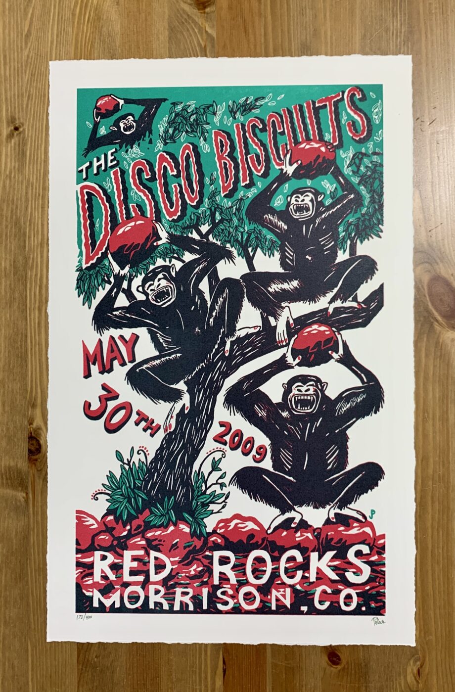 Disco Biscuits Red Rocks Morrison 2009 Jim Pollock